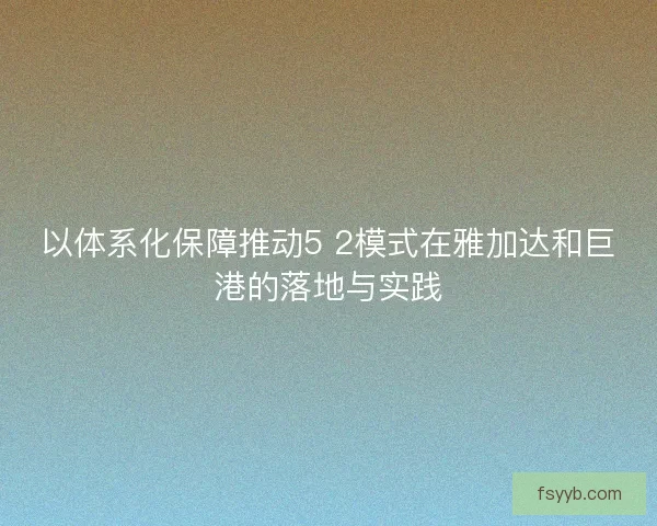 以体系化保障推动5 2模式在雅加达和巨港的落地与实践