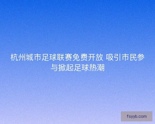 杭州城市足球联赛免费开放 吸引市民参与掀起足球热潮
